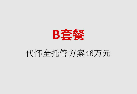 http://www.haoboiler.com/post/186.html|服务项目
